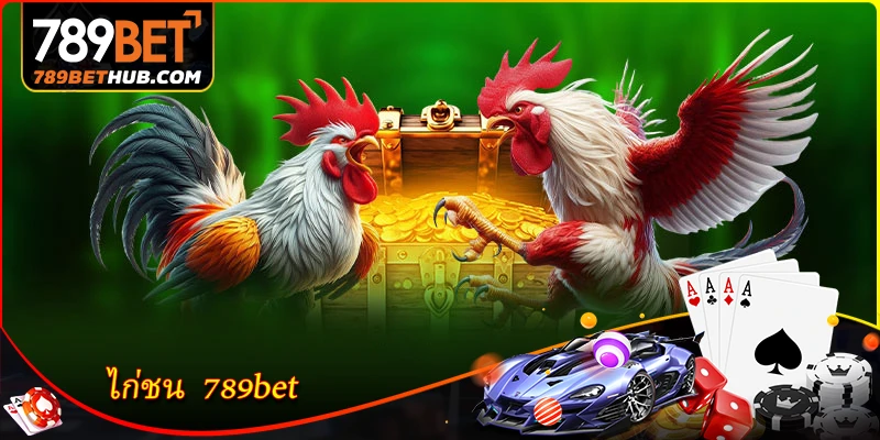 ไก่ชน  789BET - สำรวจสนามชนไก่สุดเร้าใจ